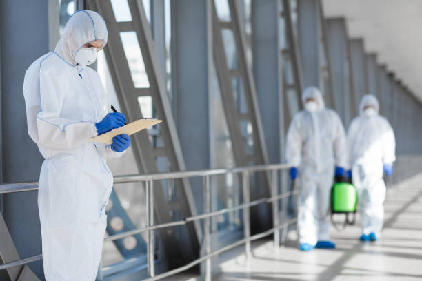  , NM Mold Removal Pros