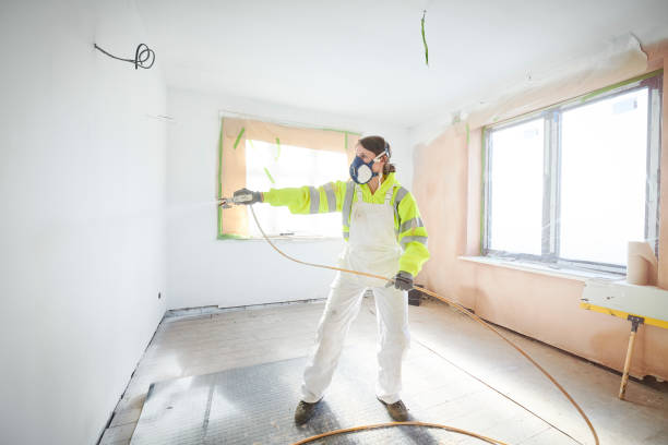 Best Black Mold Removal  in , NM
