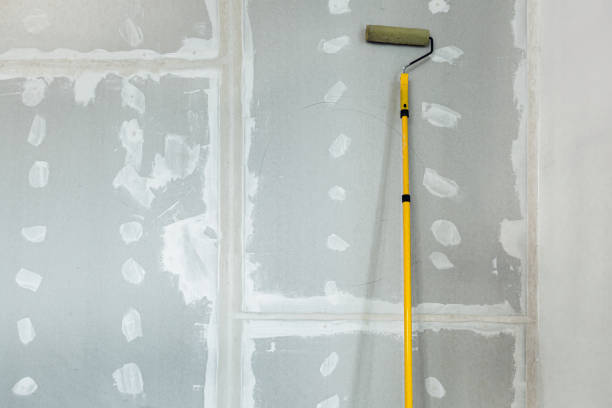 Best Dehumidification Services  in , NM
