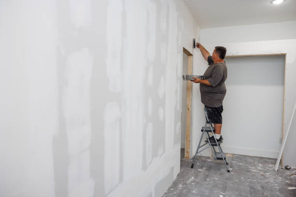 Best Post-Construction Mold Inspection  in , NM