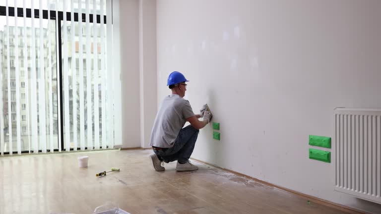 Best Attic Mold Removal  in , NM
