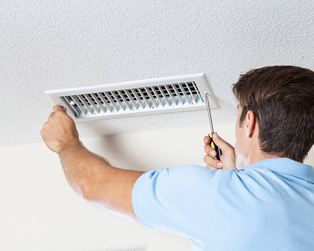 Best Basement Mold Removal  in , NM