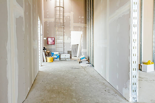 Best Emergency Mold Remediation  in , NM