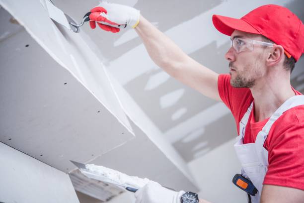 Best Mold Odor Removal Services  in , NM