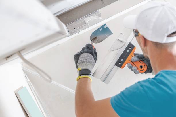 Best Asbestos and Lead Testing During Mold Inspection  in , NM